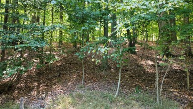 Double lot wooded property in Hocking Hills near the entrance in on Hide-A-Way Hills Golf Club in Ohio - for sale on GolfHomes.com, golf home, golf lot