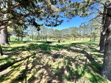 Dont miss this incredible opportunity to own a slice of paradise on Bayside Golf Course in Nebraska - for sale on GolfHomes.com, golf home, golf lot