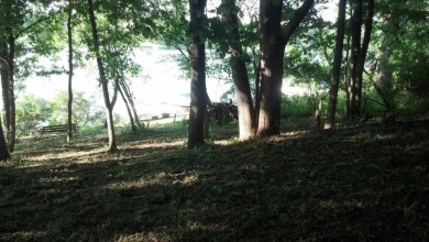 Beautiful 1.9-acre wooded waterfront lot on the main body of on Lake Carroll Golf Course in Illinois - for sale on GolfHomes.com, golf home, golf lot