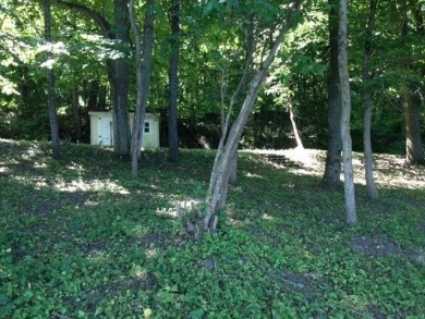 Beautiful 1.9-acre wooded waterfront lot on the main body of on Lake Carroll Golf Course in Illinois - for sale on GolfHomes.com, golf home, golf lot
