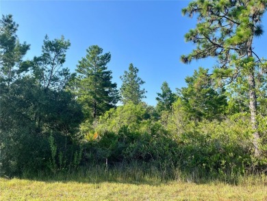 Country living at its finest on this half acre lot in this gated on Indian Lake Estates Golf and Country Club in Florida - for sale on GolfHomes.com, golf home, golf lot