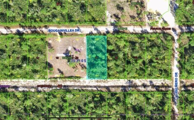Country living at its finest on this half acre lot in this gated on Indian Lake Estates Golf and Country Club in Florida - for sale on GolfHomes.com, golf home, golf lot