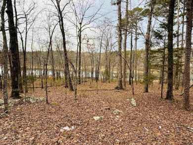 Discover the perfect lakefront lot in Grand Isle at Fairfield on Indian Hills Country Club in Arkansas - for sale on GolfHomes.com, golf home, golf lot