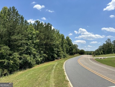SEIZE THE OPPORTUNITY TO OWN A MAGNIFICENT 2.9-ACRE LOT IN THE on The Club River Forest in Georgia - for sale on GolfHomes.com, golf home, golf lot