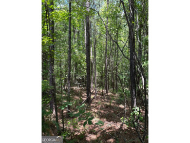SEIZE THE OPPORTUNITY TO OWN A MAGNIFICENT 2.9-ACRE LOT IN THE on The Club River Forest in Georgia - for sale on GolfHomes.com, golf home, golf lot