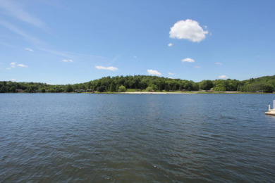 Professionally designed Lake house on a double waterfront lot on Treasure Lake - Gold in Pennsylvania - for sale on GolfHomes.com, golf home, golf lot
