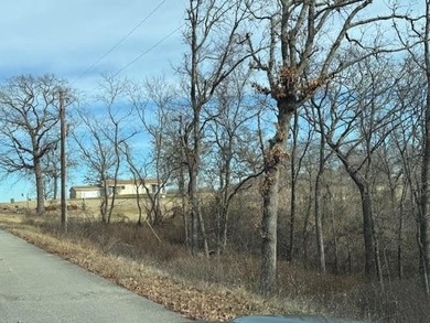 Beautiful golf course lot situated on the 9th tee box, offering on Holiday Island Golf Course in Arkansas - for sale on GolfHomes.com, golf home, golf lot