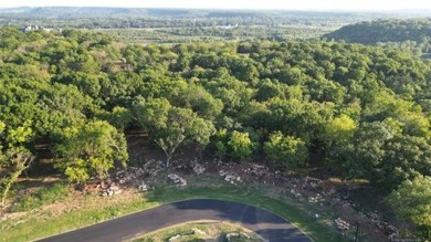 Gorgeous wooded bluff lot in the luxurious upscale gated on The Patriot in Oklahoma - for sale on GolfHomes.com, golf home, golf lot