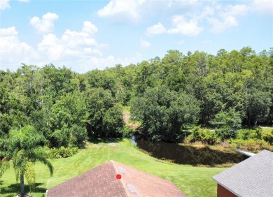 Beautiful BORDEAUX model on a CANAL & CONSERVATION lot in on Stonegate Golf Club in Florida - for sale on GolfHomes.com, golf home, golf lot