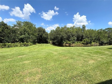Beautiful BORDEAUX model on a CANAL & CONSERVATION lot in on Stonegate Golf Club in Florida - for sale on GolfHomes.com, golf home, golf lot