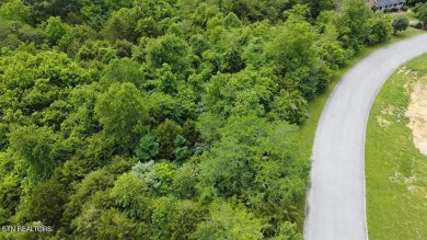 Want a nice building lot that backs up to the golf course and on Woodlake Golf Club in Tennessee - for sale on GolfHomes.com, golf home, golf lot