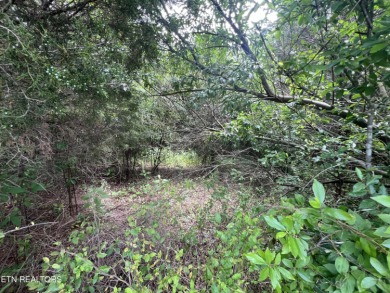 Want a nice building lot that backs up to the golf course and on Woodlake Golf Club in Tennessee - for sale on GolfHomes.com, golf home, golf lot