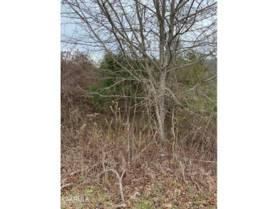 Want a nice building lot that backs up to the golf course and on Woodlake Golf Club in Tennessee - for sale on GolfHomes.com, golf home, golf lot