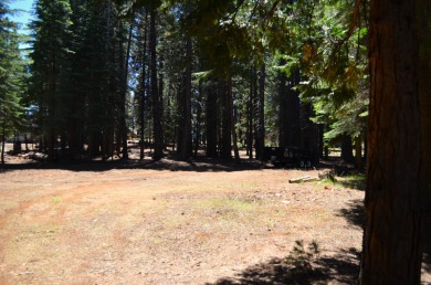 Level lot with an open space in the middle.  Nicely maintained on Lake Almanor West Golf Course in California - for sale on GolfHomes.com, golf home, golf lot