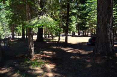 Level lot with an open space in the middle.  Nicely maintained on Lake Almanor West Golf Course in California - for sale on GolfHomes.com, golf home, golf lot