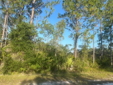 Country living at its finest on this half acre lot in this gated on Indian Lake Estates Golf and Country Club in Florida - for sale on GolfHomes.com, golf home, golf lot