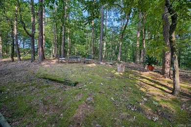 Impeccably updated and in a great location within walking on DeSoto Golf Course in Arkansas - for sale on GolfHomes.com, golf home, golf lot