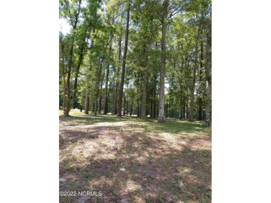 Large, wooded lot on Oyster Bay #11 Hole in Sea Trail Plantation on Oyster Bay Golf Links in North Carolina - for sale on GolfHomes.com, golf home, golf lot