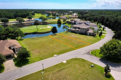Create your custom Florida dream home on this vacant, cleared on Conservatory Course At Hammock Beach Resort in Florida - for sale on GolfHomes.com, golf home, golf lot