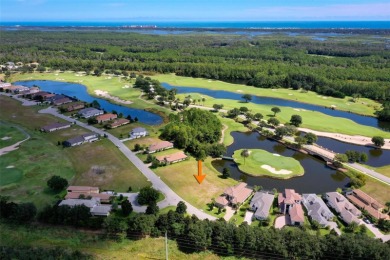 Create your custom Florida dream home on this vacant, cleared on Conservatory Course At Hammock Beach Resort in Florida - for sale on GolfHomes.com, golf home, golf lot