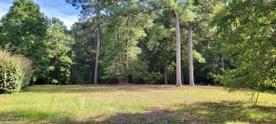 Exceptional .42-acre homesite at the end of a quiet cul-de-sac on Members Club At St. James Plantation in North Carolina - for sale on GolfHomes.com, golf home, golf lot