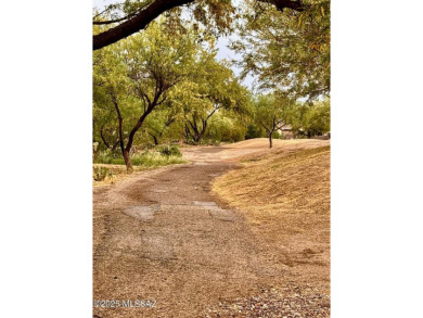 Gorgeous 3/2 home on oversized corner lot in desirable Racho Del on Del Lago Golf Club in Arizona - for sale on GolfHomes.com, golf home, golf lot