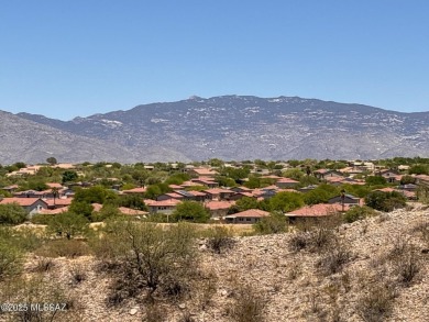 Gorgeous 3/2 home on oversized corner lot in desirable Racho Del on Del Lago Golf Club in Arizona - for sale on GolfHomes.com, golf home, golf lot