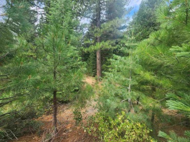 This great parcel is located in the beautiful, gated community on Bailey Creek Golf Course in California - for sale on GolfHomes.com, golf home, golf lot