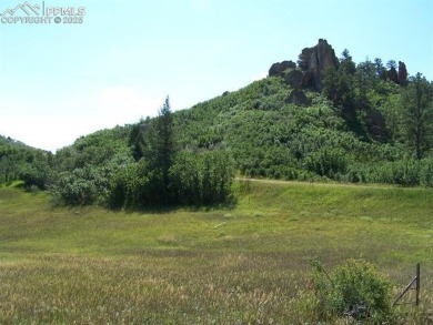 1-acre lot in scenic Perry Park has Tremendous Views of Soaring on Perry Park Country Club in Colorado - for sale on GolfHomes.com, golf home, golf lot