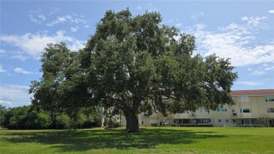 Spacious, ground floor, 1,650 sq. ft. 2BR/2.5BA first-floor on On Top Of The World Golf Course in Florida - for sale on GolfHomes.com, golf home, golf lot