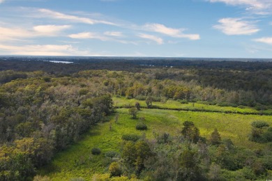 JUST STEPS TO THE WACCAMAW RIVER and a short bike ride to the on The Reserve Golf Club at Pawleys Island in South Carolina - for sale on GolfHomes.com, golf home, golf lot