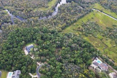 JUST STEPS TO THE WACCAMAW RIVER and a short bike ride to the on The Reserve Golf Club at Pawleys Island in South Carolina - for sale on GolfHomes.com, golf home, golf lot