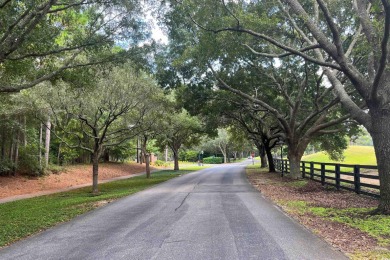 JUST STEPS TO THE WACCAMAW RIVER and a short bike ride to the on The Reserve Golf Club at Pawleys Island in South Carolina - for sale on GolfHomes.com, golf home, golf lot