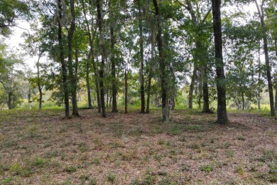 JUST STEPS TO THE WACCAMAW RIVER and a short bike ride to the on The Reserve Golf Club at Pawleys Island in South Carolina - for sale on GolfHomes.com, golf home, golf lot