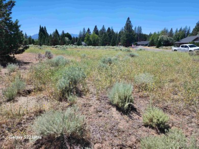 Wonderful location for a custom home with view of Mt Shasta and on Lake Shastina Golf Course in California - for sale on GolfHomes.com, golf home, golf lot