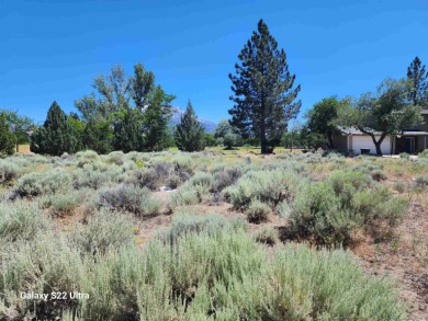 Wonderful location for a custom home with view of Mt Shasta and on Lake Shastina Golf Course in California - for sale on GolfHomes.com, golf home, golf lot