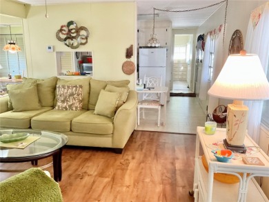 Charming, Well-Maintained Home in the PET SECTION - Move-In on Fairway Village Golf Course in Florida - for sale on GolfHomes.com, golf home, golf lot