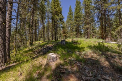 Rarely Available View Lot on Huckleberry Place! Don't miss this on Jug Mountain Ranch Golf Course in Idaho - for sale on GolfHomes.com, golf home, golf lot