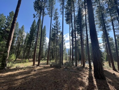 BOBCAT TRAIL IS CALLING YOU, COME CHECK IT OUT!! This lovely on Whitehawk Ranch Golf Club in California - for sale on GolfHomes.com, golf home, golf lot