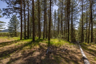 Rarely Available View Lot on Huckleberry Place! Don't miss this on Jug Mountain Ranch Golf Course in Idaho - for sale on GolfHomes.com, golf home, golf lot