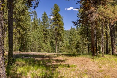 Rarely Available View Lot on Huckleberry Place! Don't miss this on Jug Mountain Ranch Golf Course in Idaho - for sale on GolfHomes.com, golf home, golf lot