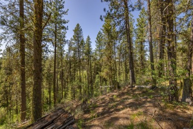 Rarely Available View Lot on Huckleberry Place! Don't miss this on Jug Mountain Ranch Golf Course in Idaho - for sale on GolfHomes.com, golf home, golf lot