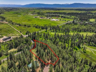 Rarely Available View Lot on Huckleberry Place! Don't miss this on Jug Mountain Ranch Golf Course in Idaho - for sale on GolfHomes.com, golf home, golf lot