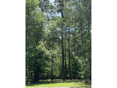 LAKEFRONT / WATERFRONT Residential tract of land in the on Monticello Golf Club At Savannah Lakes in South Carolina - for sale on GolfHomes.com, golf home, golf lot