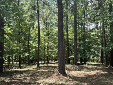 LAKEFRONT / WATERFRONT Residential tract of land in the on Monticello Golf Club At Savannah Lakes in South Carolina - for sale on GolfHomes.com, golf home, golf lot