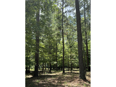 LAKEFRONT / WATERFRONT Residential tract of land in the on Monticello Golf Club At Savannah Lakes in South Carolina - for sale on GolfHomes.com, golf home, golf lot