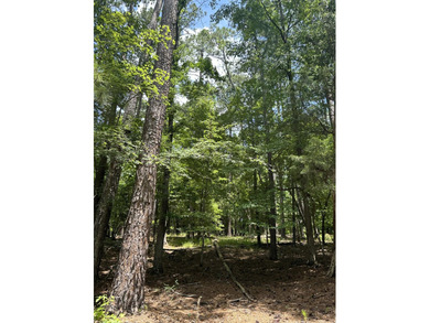 LAKEFRONT / WATERFRONT Residential tract of land in the on Monticello Golf Club At Savannah Lakes in South Carolina - for sale on GolfHomes.com, golf home, golf lot