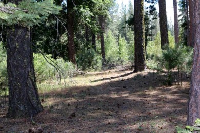 EUREKA! THIS WOODED HOMESITE BACKS UP TO OPEN SPACE AND PRIVACY on Plumas Pines Golf Resort in California - for sale on GolfHomes.com, golf home, golf lot