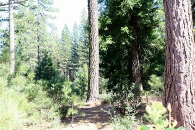 EUREKA! THIS WOODED HOMESITE BACKS UP TO OPEN SPACE AND PRIVACY on Plumas Pines Golf Resort in California - for sale on GolfHomes.com, golf home, golf lot