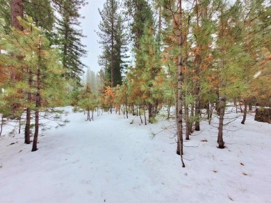 EUREKA! THIS WOODED HOMESITE BACKS UP TO OPEN SPACE AND PRIVACY on Plumas Pines Golf Resort in California - for sale on GolfHomes.com, golf home, golf lot